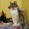 Отзыв от Мария Кольцова